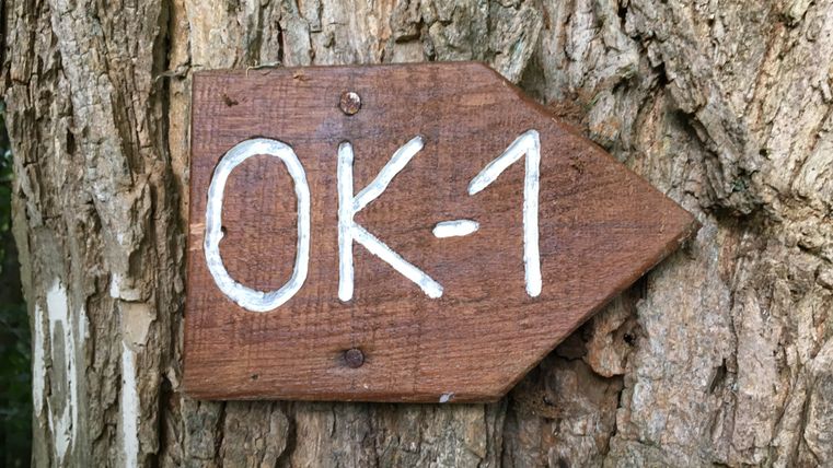 Holzschild mit der Aufschrift 'OK-1' an einem Baumstamm.