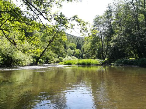 Ein ruhiger Fluss umgeben von üppigem Grün und Bäumen. Die Sonne scheint und reflektiert sanft auf dem Wasser.