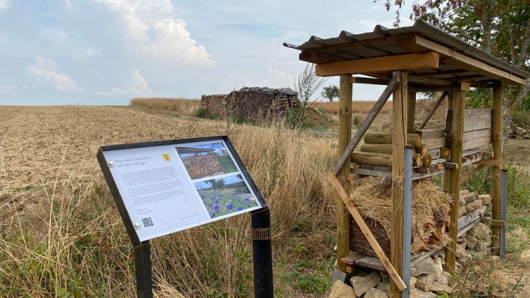 Insektenlehrpfad mit Infotafel und Insektenhotel auf einem Feldweg.