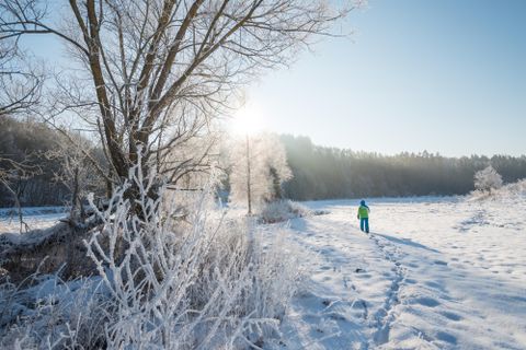 Eine verschneite Landschaft mit gefrosteten Bäumen und einem klaren Himmel. Im Vordergrund geht eine Person in warmer Kleidung einen Weg entlang.