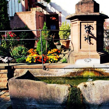 Ein steinerner Dorfbrunnen mit Wasserbecken und Blumen in Dudeldorf.