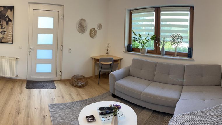 Een moderne woonkamer met een grijze bank en een televisie. Grote ramen bieden veel natuurlijk licht en uitzicht op de tuin.