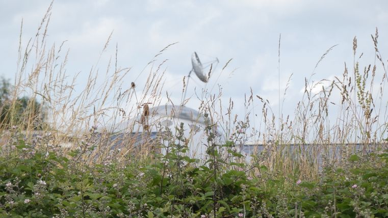 Ein Feld mit hohem Gras und Blumen, im Hintergrund eine große Satellitenschüssel.