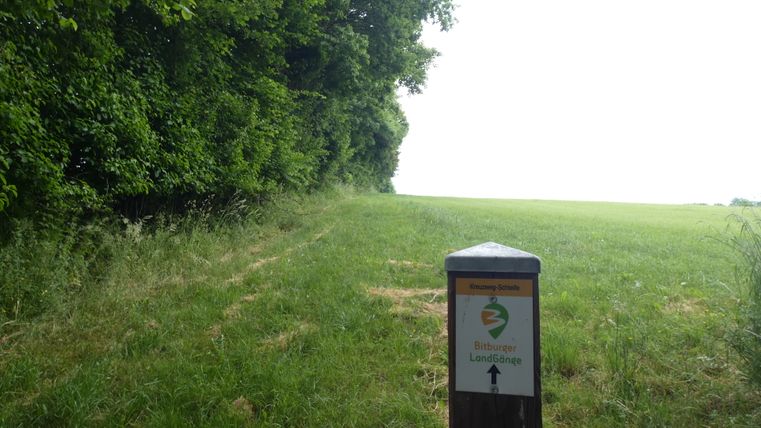 Balisage des Bitburger LandGänge sur une prairie avec des arbres.