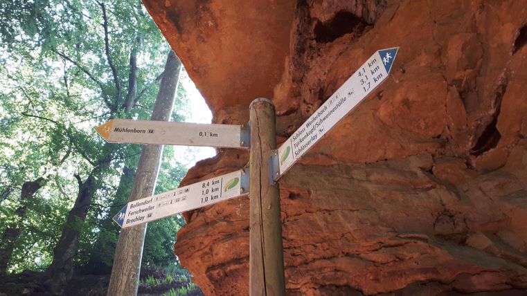 Ein Wegweiser aus Holz mit mehreren Richtungspfeilen steht in einem Wald. Die Umgebung hat eine natürliche, grüne Atmosphäre mit Felsen im Hintergrund.