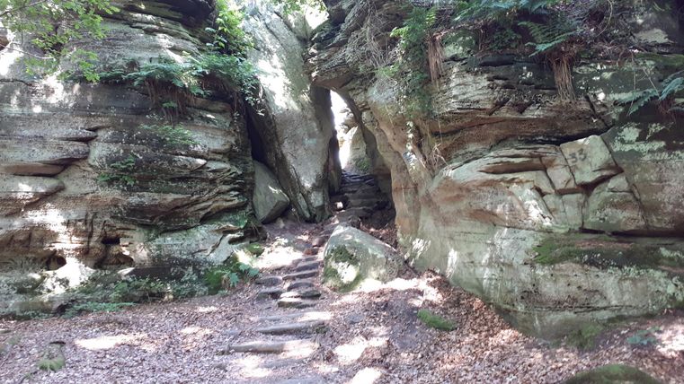 Ein schmaler Pfad zwischen hohen Felsen im Wald. Das Licht fällt sanft auf die Erde und verbreitet eine ruhige Atmosphäre.