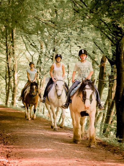 Drei Reiterinnen reiten auf einem Waldweg. Die Bäume um sie herum sind grün und die Stimmung ist friedlich.