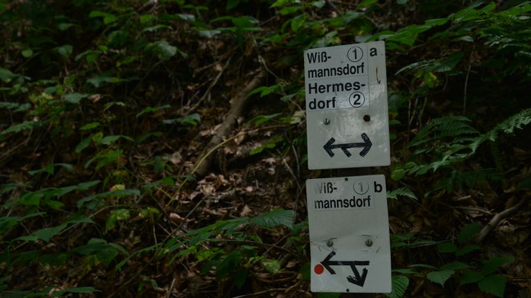 Wegwijzer in het bos met aanwijzingen naar Wißmannsdorf en Hermesdorf.