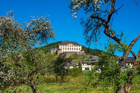 Schloss Malberg auf einem Hügel, umgeben von blühenden Bäumen und Häusern im Vordergrund.