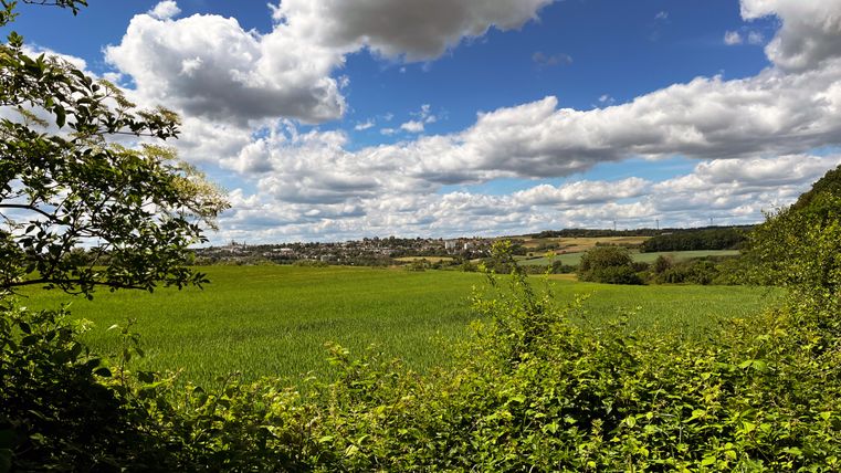 Landschaft mit grünen Feldern, Bäumen und bewölktem Himmel.