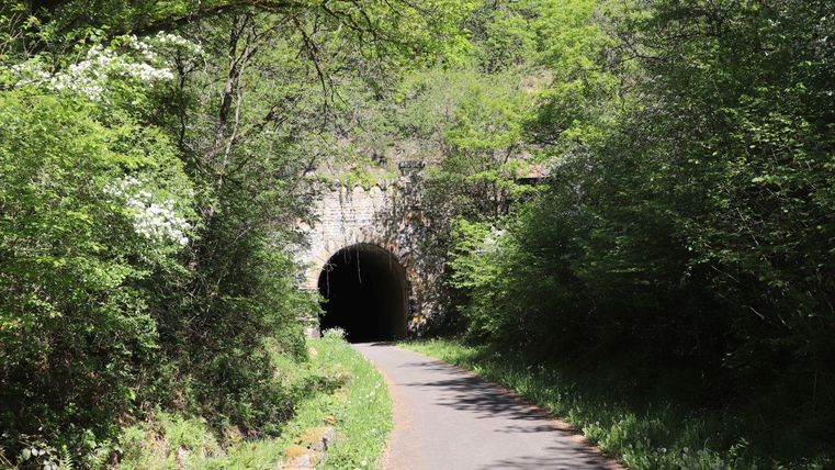 Ein Tunnel, der von grünen Bäumen umgeben ist. Der Weg führt sanft auf den Tunnel zu.