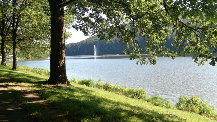 Ein ruhiger See mit einem Springbrunnen in der Mitte, umgeben von Bäumen und einem grasbewachsenen Ufer.