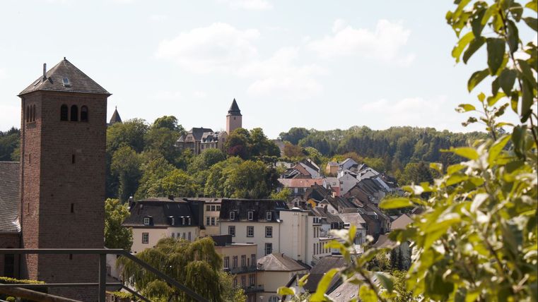 Blick auf Kyllburg mit Kirchturm und Häusern, umgeben von Bäumen.
