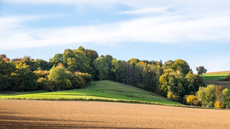 Landschaft mit Feldern und Bäumen unter blauem Himmel.