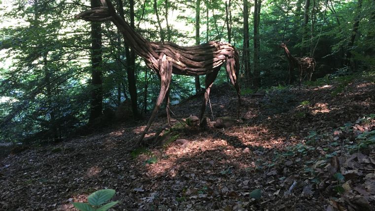 Een sculptuur van een met een giraffe vergelijkbaar dier van hout staat in het bos. Het licht valt zachtjes door de bomen op de bosgrond.