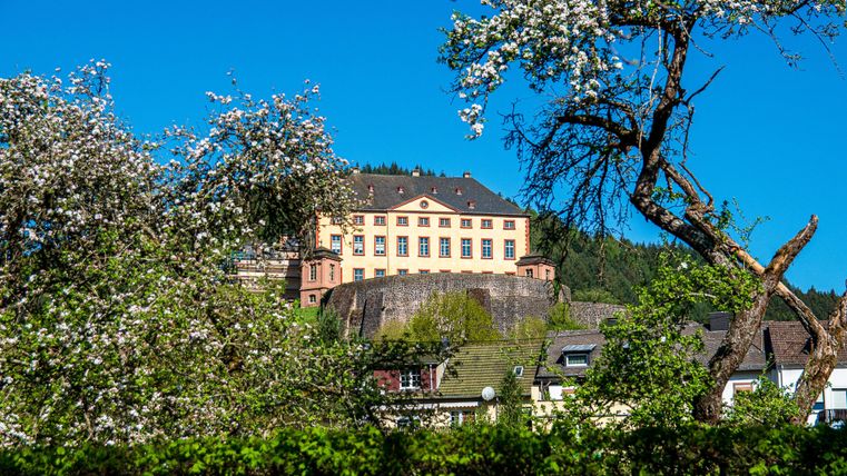 Ein historisches Gebäude thront auf einem Hügel, umgeben von blühenden Bäumen und grünem Laub. Der strahlend blaue Himmel sorgt für eine angenehme Atmosphäre.