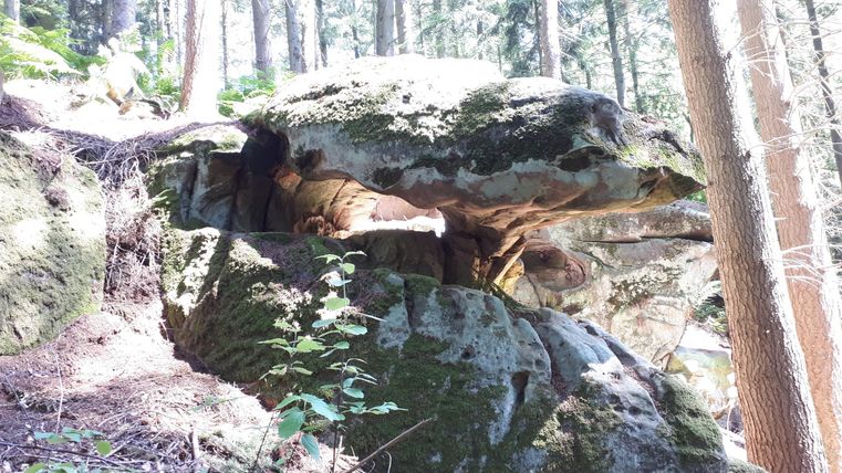 Ein großer, moosbedeckter Felsen im Wald. Umgeben von Bäumen und grünem Unterholz.