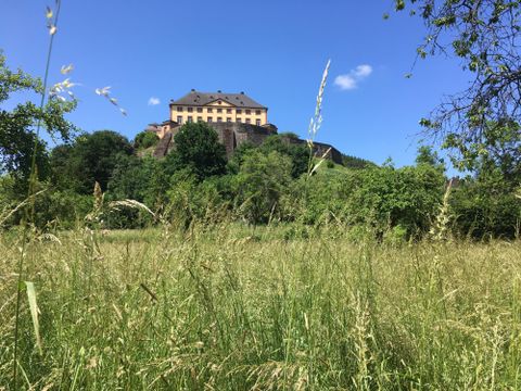 Ein beeindruckendes Schloss auf einem Hügel, umgeben von üppigem Grün. Der klare blaue Himmel schafft eine einladende Atmosphäre.