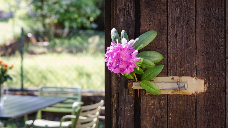 Eine bunte Blumenzweige stecken aus einer Holzverkleidung. Im Hintergrund ist ein sonniger Garten mit einem Tisch und Stühlen zu sehen.