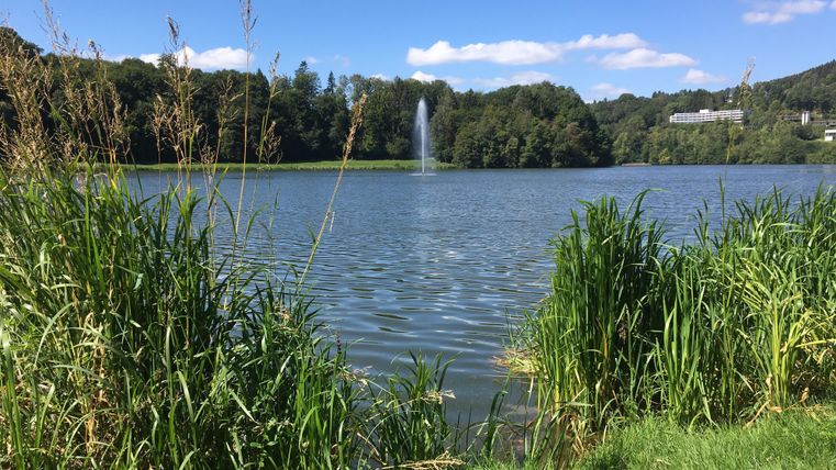Ein ruhiger See umgeben von hohen Gräsern und Bäumen. Im Hintergrund sprudelt ein Wasserfontäne in die klare Luft.