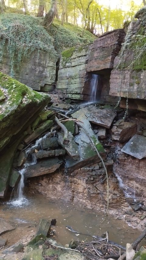 Ein kleiner Wasserfall fließt über moosbedeckte Felsen in einem bewaldeten Gebiet.
