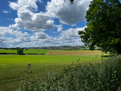 Landschaft mit grünen Feldern, Bäumen und Wolken am Himmel.