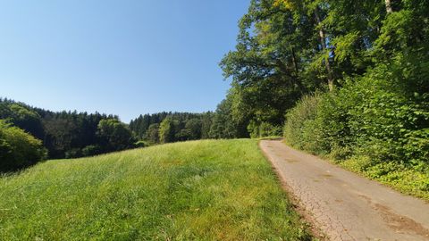 Un chemin étroit longe la lisière d'une forêt, entouré de prairies et d'arbres verts sous un ciel bleu limpide.