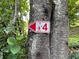 Ein rotes Wanderschild mit der Nummer 4 an einem Baum im Wald.