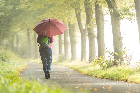 Eine Frau mit Regenschirm läuft durch eine regennasse Allee