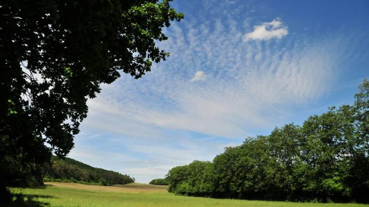 Eine weite Wiese unter einem blauen Himmel mit Wolken. Auf der linken Seite stehen Bäume und im Hintergrund sind sanfte Hügel zu sehen.