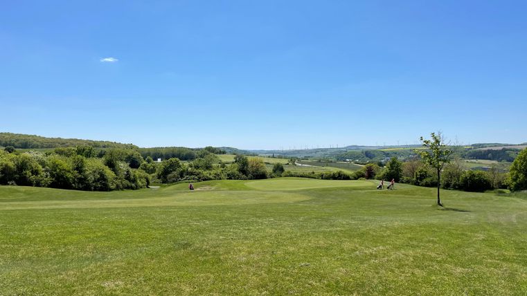 Eine weite Wiese mit grünem Gras und vereinzelten Bäumen. Der Himmel ist klar und blau, mit Blick auf sanfte Hügel in der Ferne.