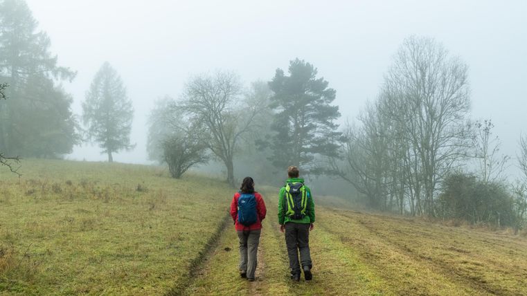 Deux randonneurs marchent sur un chemin étroit à travers un paysage brumeux. Entourés d'arbres et de champs herbeux, l'atmosphère est calme et mystérieuse.