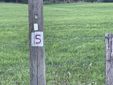 Holzpfosten mit der Zahl 5 auf einer Wiese.