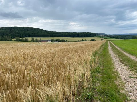 Landschaft mit Getreidefeld, Feldweg und bewaldeten Hügeln im Hintergrund.