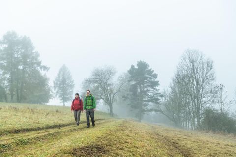 Zwei Personen wandern durch eine neblige Landschaft. Im Hintergrund erkennt man Bäume und ein ruhiges Feld.