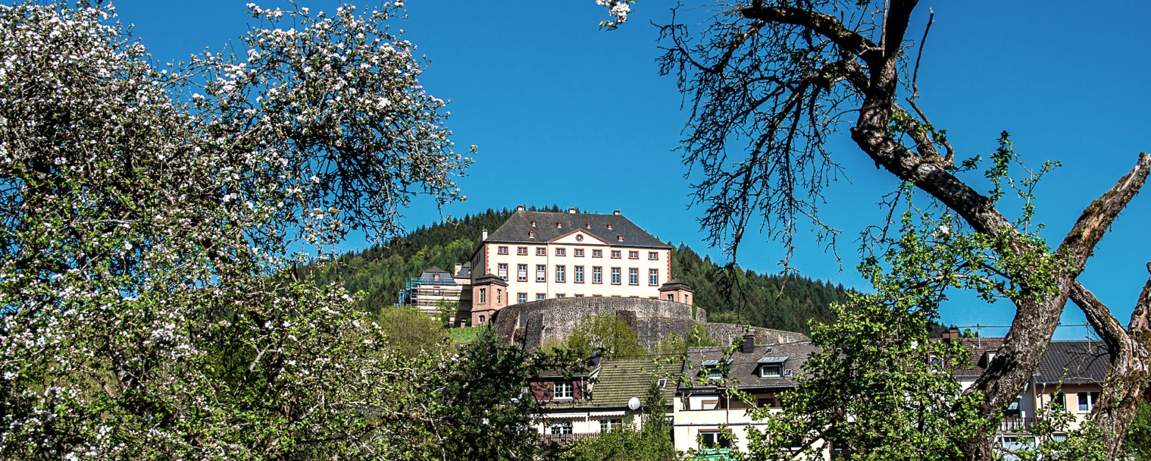 Le château de Malberg trône sur une colline, entouré d'arbres en fleurs et de maisons. Le ciel est clair et bleu., © Tourist-Information Bitburger Land_Monika Mayer