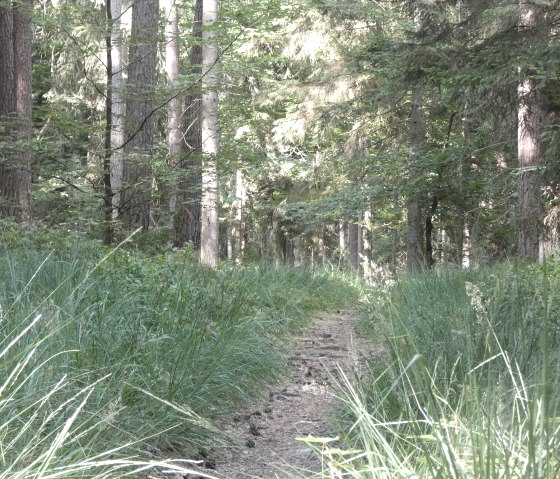 Klein pad, &copy; TI Bitburger Land