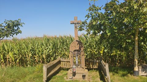 Steinkreuz mit Jesusfigur vor einem Maisfeld, umgeben von Bäumen und einem Holzzaun.
