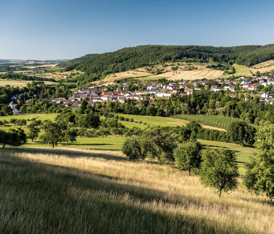 Vall&eacute;e de la Pr&uuml;m avec culture du houblon et pr&eacute;s-vergers pr&egrave;s de Holsthum, &copy; Eifel Tourismus GmbH, D. Ketz