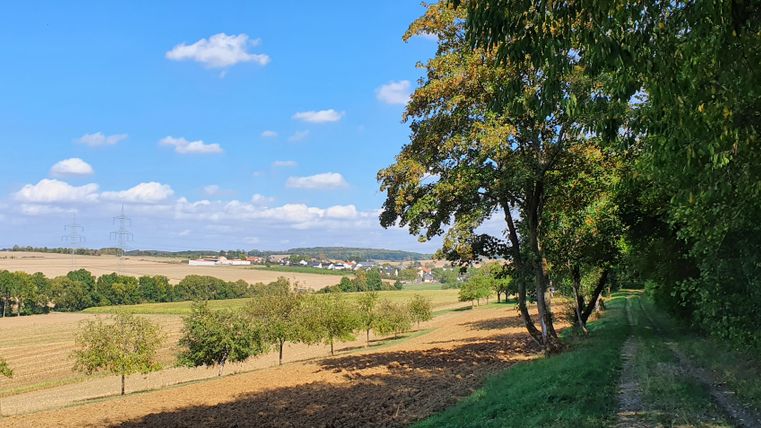 Landschaft mit Feldern, Bäumen und einem Dorf im Hintergrund unter blauem Himmel.