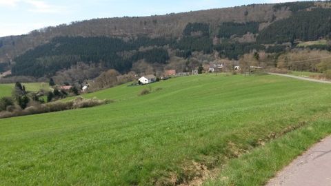 Landschaft mit grünen Wiesen, Hügeln und einem kleinen Dorf im Hintergrund.