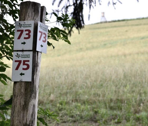 Wegweiser im Naturpark Südeifel zeigt die Nummern 73 und 75. Im Hintergrund ist ein Feld und ein Hochsitz zu sehen., © TI Bitburger Land