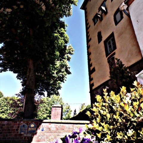 Historic building with half-timbering, tree and blooming flowers in the foreground. Clear, sunny atmosphere., © Melanie Lonien