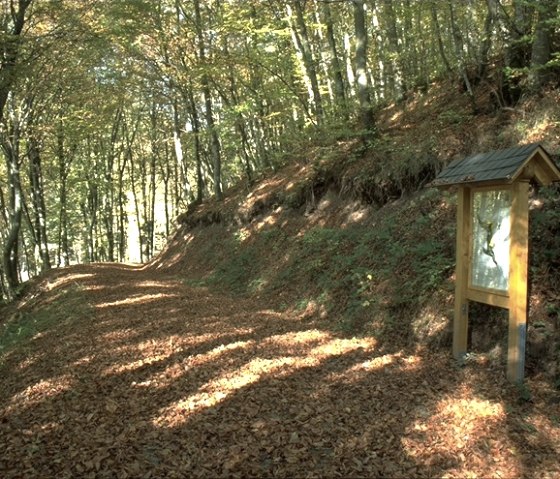 Un chemin forestier couvert de feuilles d'automne et bordé d'arbres. A droite, un panneau d'information en bois., © TI Bitburger Land