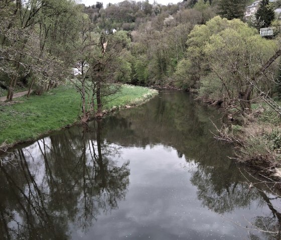 Rundweg Kyllburg-Malberg (Kyll)