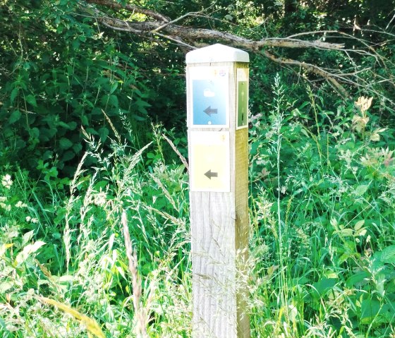 Ein Holzpfosten mit bunten Wegweisern steht inmitten von dichtem, grünem Pflanzenwuchs. Die Schilder zeigen Pfeile in verschiedene Richtungen., © TI Bitburger Land