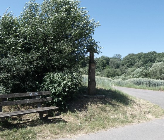 Wooden bench next to a tree on a rural path, surrounded by green vegetation and blue sky.