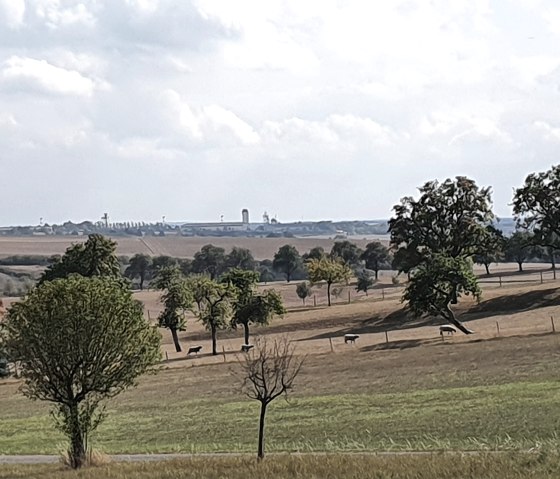 Weite Landschaft mit vereinzelten Bäumen und Blick auf die AirBase Spangdahlem am Horizont unter bewölktem Himmel., © TI BItburger Land - Steffi Wagner