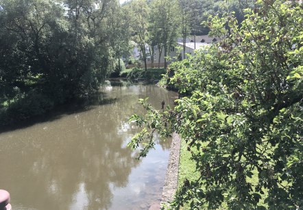 Een rustige rivier, omgeven door weelderig groen en bomen, stroomt door een landelijk gebied. Op de achtergrond zijn gebouwen te zien., &copy; TI Bitburger Land