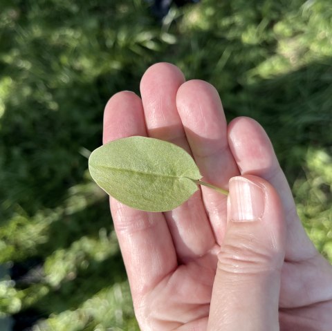 Fit in den Fr&uuml;hling, &copy; TI Bitburger Land